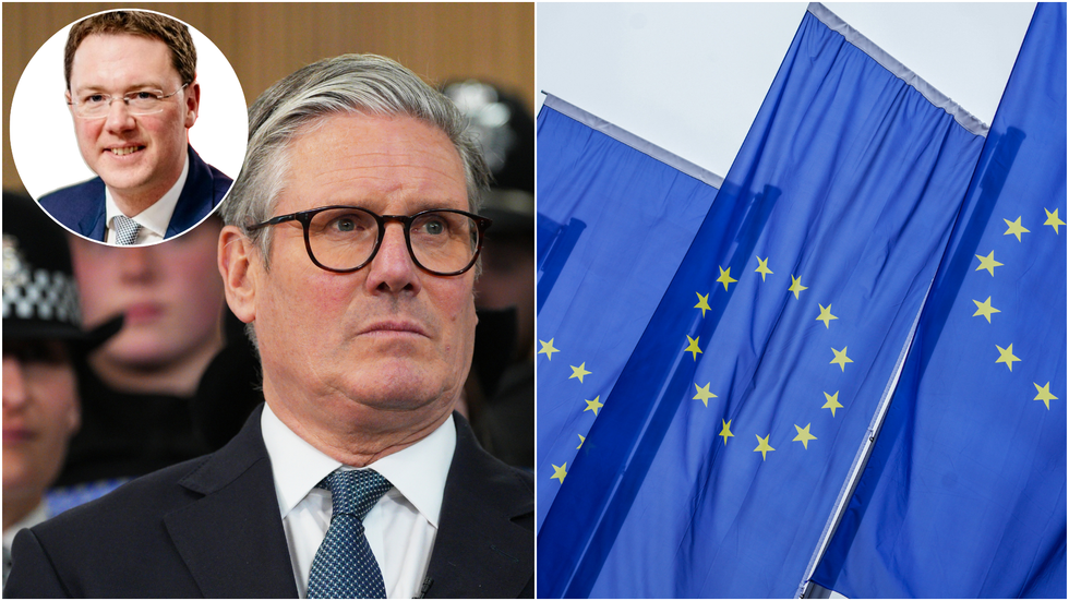 Robert Courts KC, Keir Starmer and EU flags