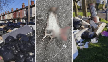 Wave of rat babies to hit Birmingham as fly-tipping intensifies