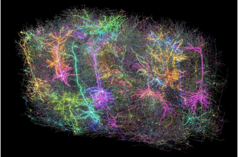 Saturday Citations: Huge eruptions from a black hole; the largest-ever functional brain map; origins of human musicality
