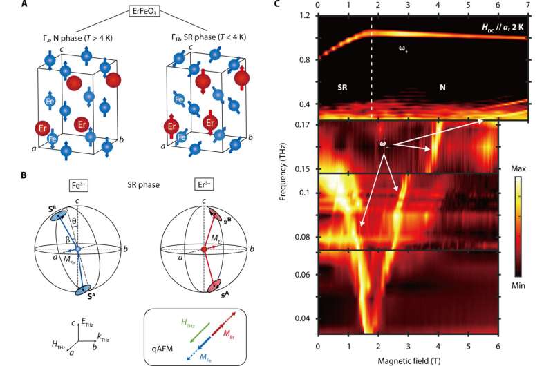 Scientists observe exotic quantum phase once thought impossible
