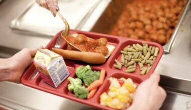 Spain rolls out new rules to limit unhealthy foods in schools