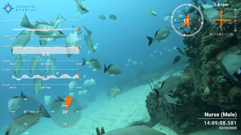 A school of fish swims near a coral reef underwater, with telemetry data and gauges overlayed, showing movement directions, speeds, and a compass. The lower right indicates "Nurse (Male)" with a timestamp and date.