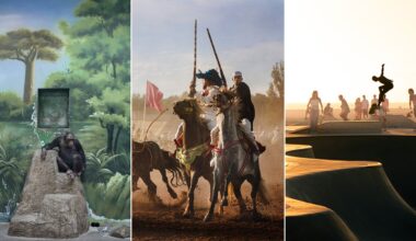 A collage of three scenes: a chimpanzee sitting in a zoo enclosure, two men jousting on horses, and skateboarders performing tricks at a skatepark during sunset.