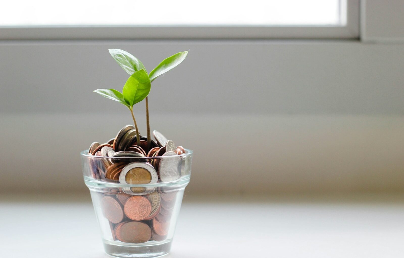 Steve Loftus: A national pension fund offers a Conservative solution to a looming crisis