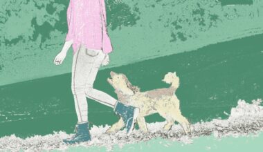Why You Should Go for a Walk Right Now