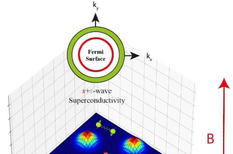 Study unveils contributions to superconductivity in the vortex lattice structure of 2H-NbSe2