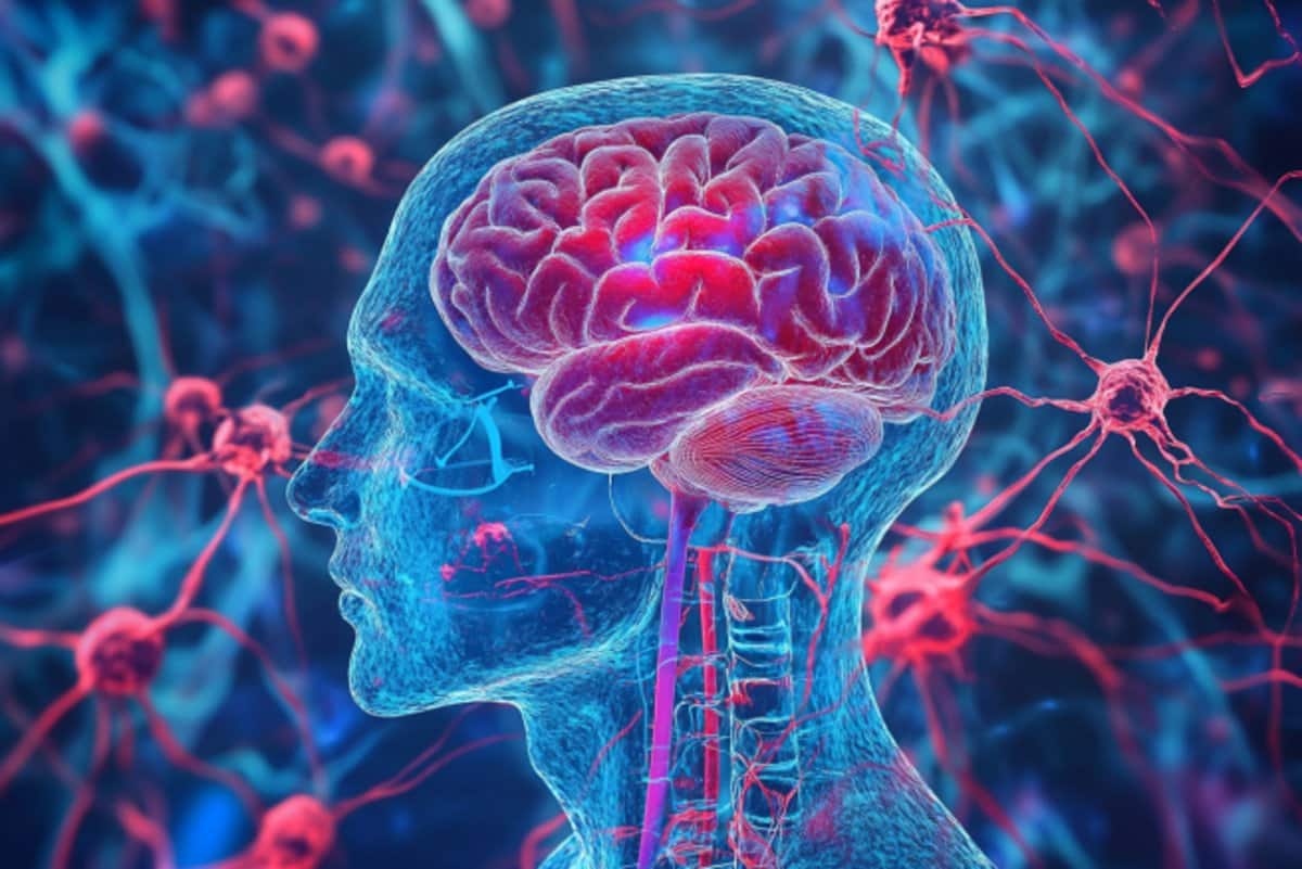 Neuroscience News logo for mobile.