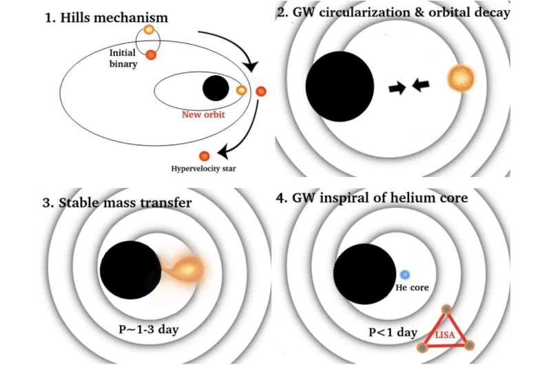 Supermassive black holes could strip stars down to their helium cores