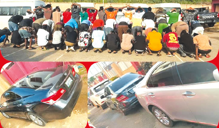 suspects n exhibits int fraud