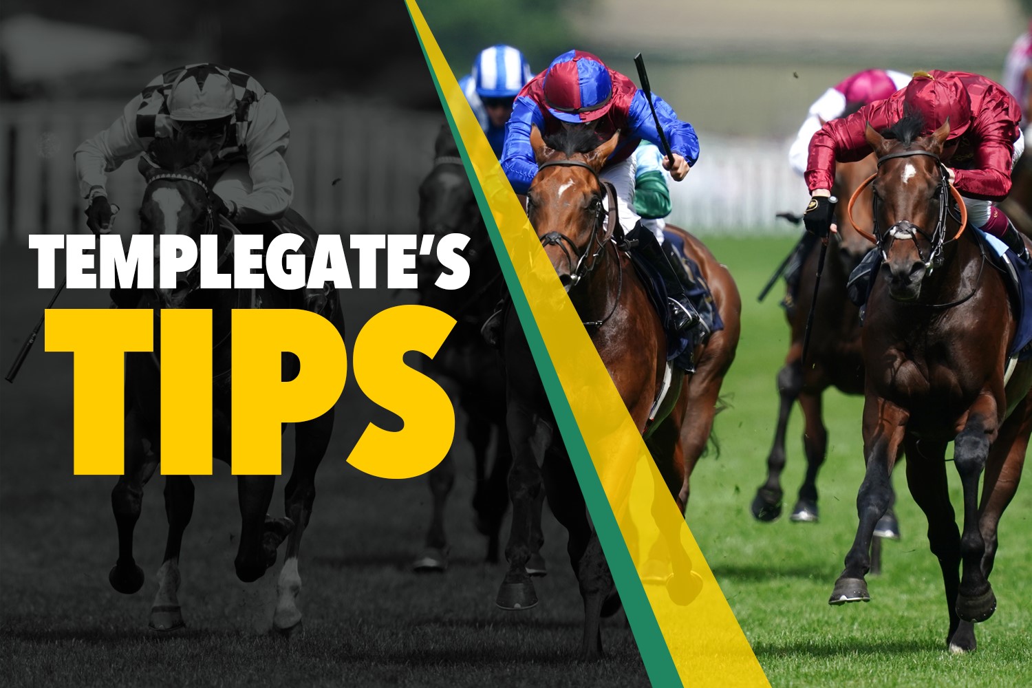 Horse racing tips: 'Loads to offer for the Gosdens' - Templegate's NAP full of Derby promise