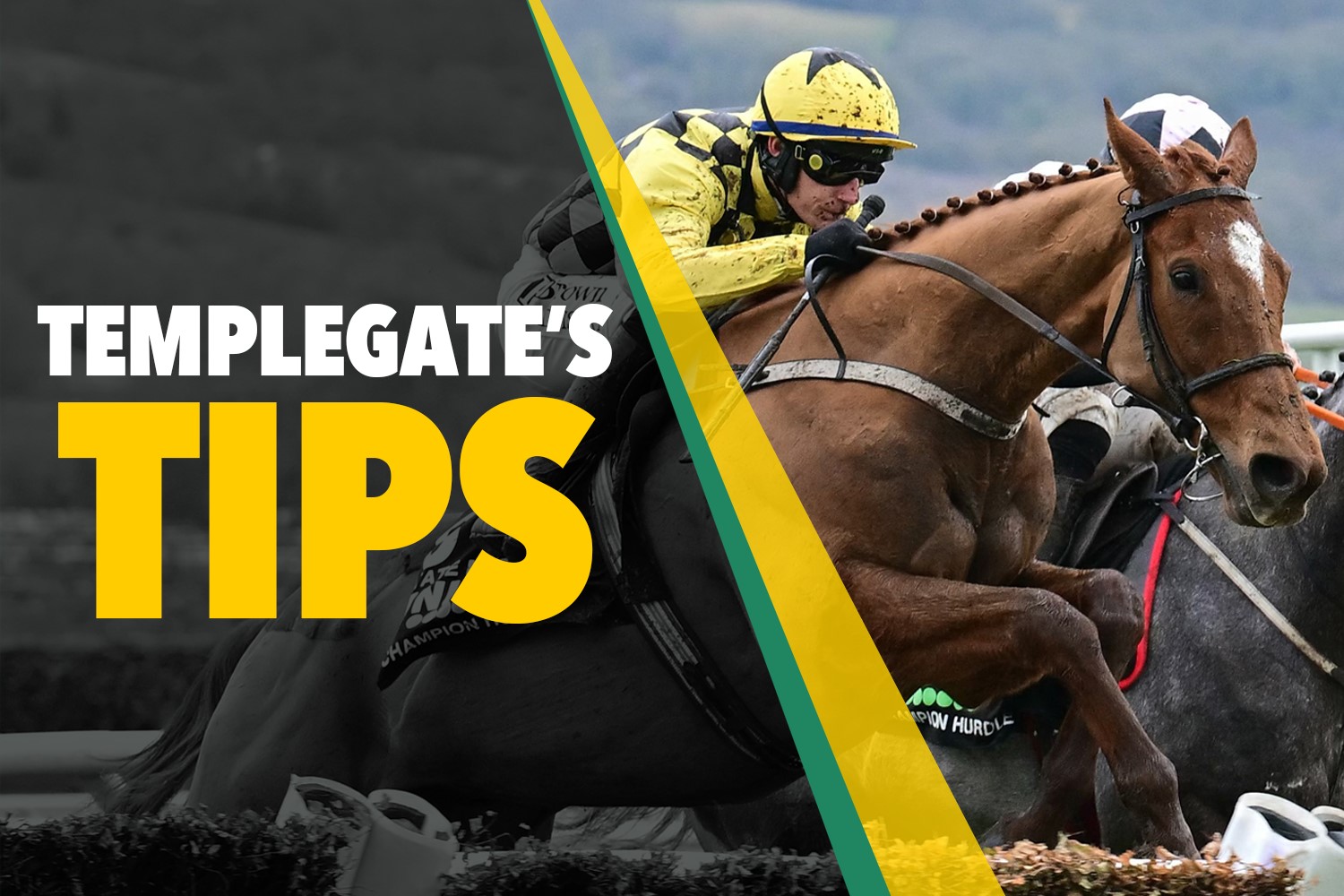 Horse racing tips: 'His 5lb rise looks very fair' - Templegate's 7-2 NAP can strike for champion jockey