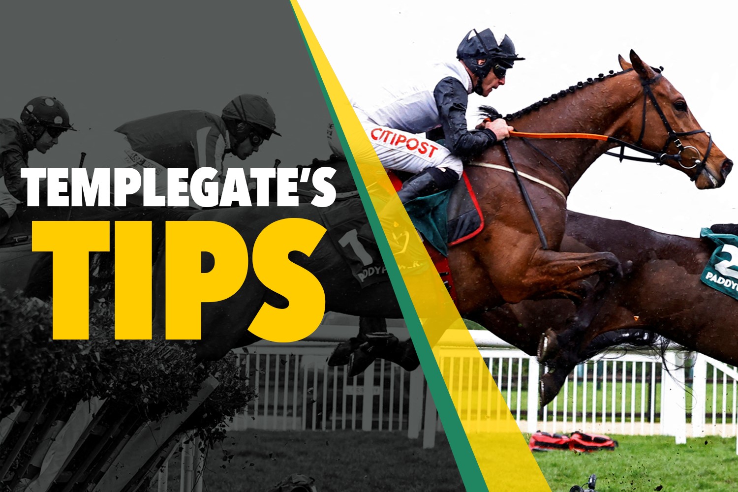 Horse racing tips: 'He won on the bridle' - Templegate's NAP could be a big boost to Dan Skelton's title hopes
