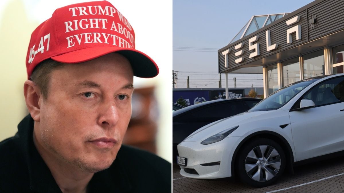 Tesla shares plummet as Wall Street bull slashes stock price target