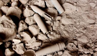 Despite stated ban, Spain continues to buy arms from Israel: Report