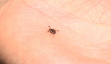 Nova Scotia research confirms lemongrass essential oil can repel ticks