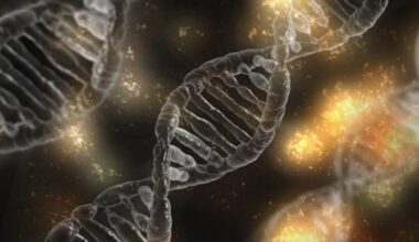 Research Refines Tools for Asthma Genetic Search