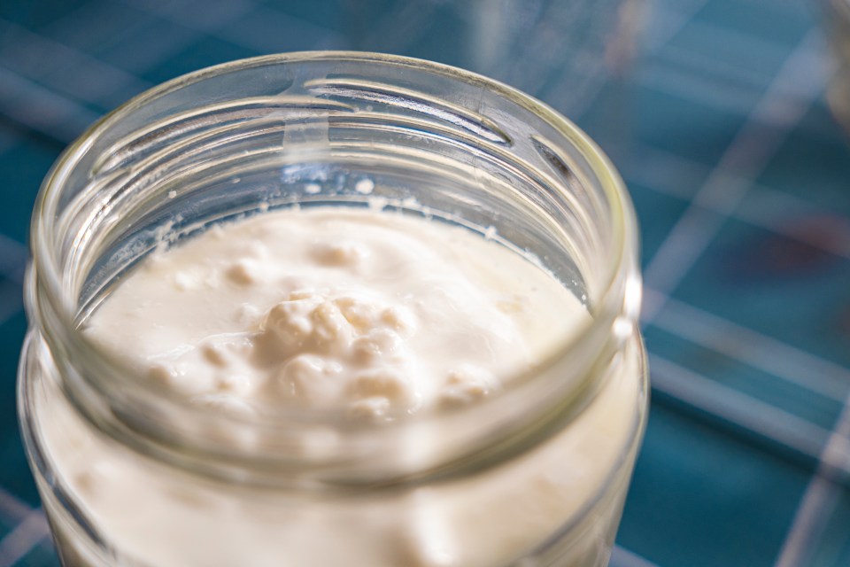 Homemade kefir in a jar.