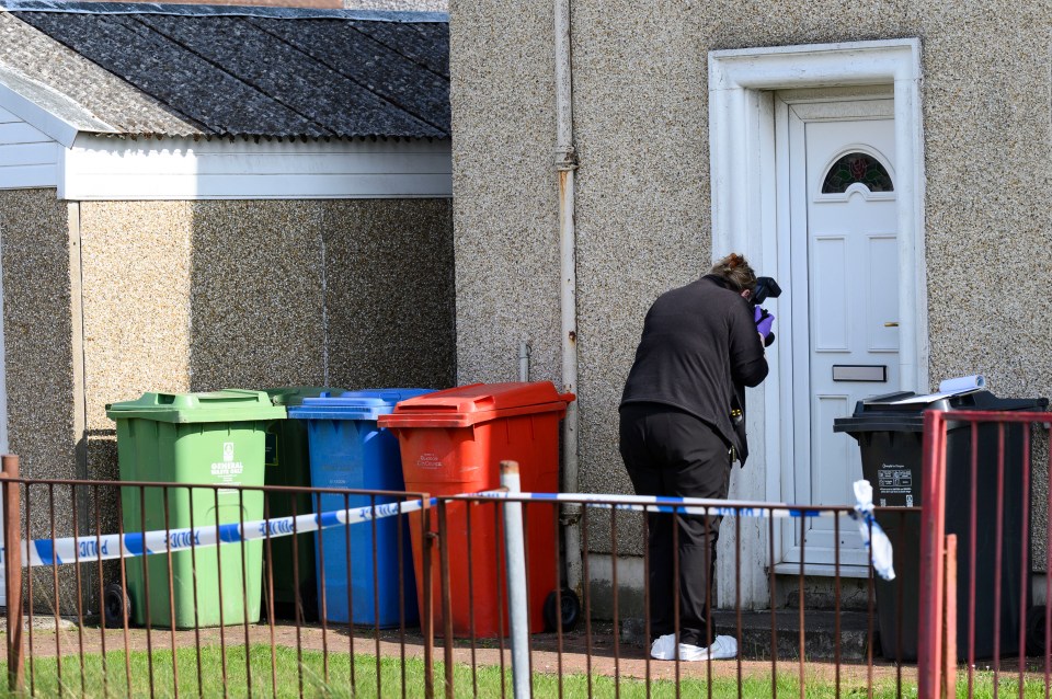 Police officer investigating a stabbing scene.