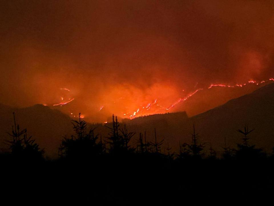 Wildfire burning on a mountainside at night.