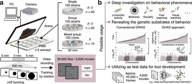 Unlocking the genetic basis of animal behavior using fruit flies