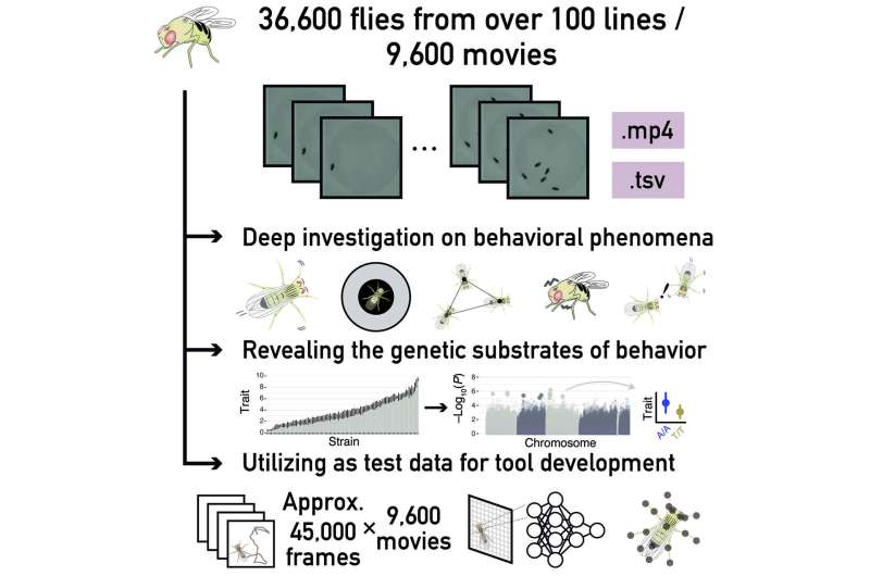 Unlocking the genetic basis of animal behavior using fruit flies