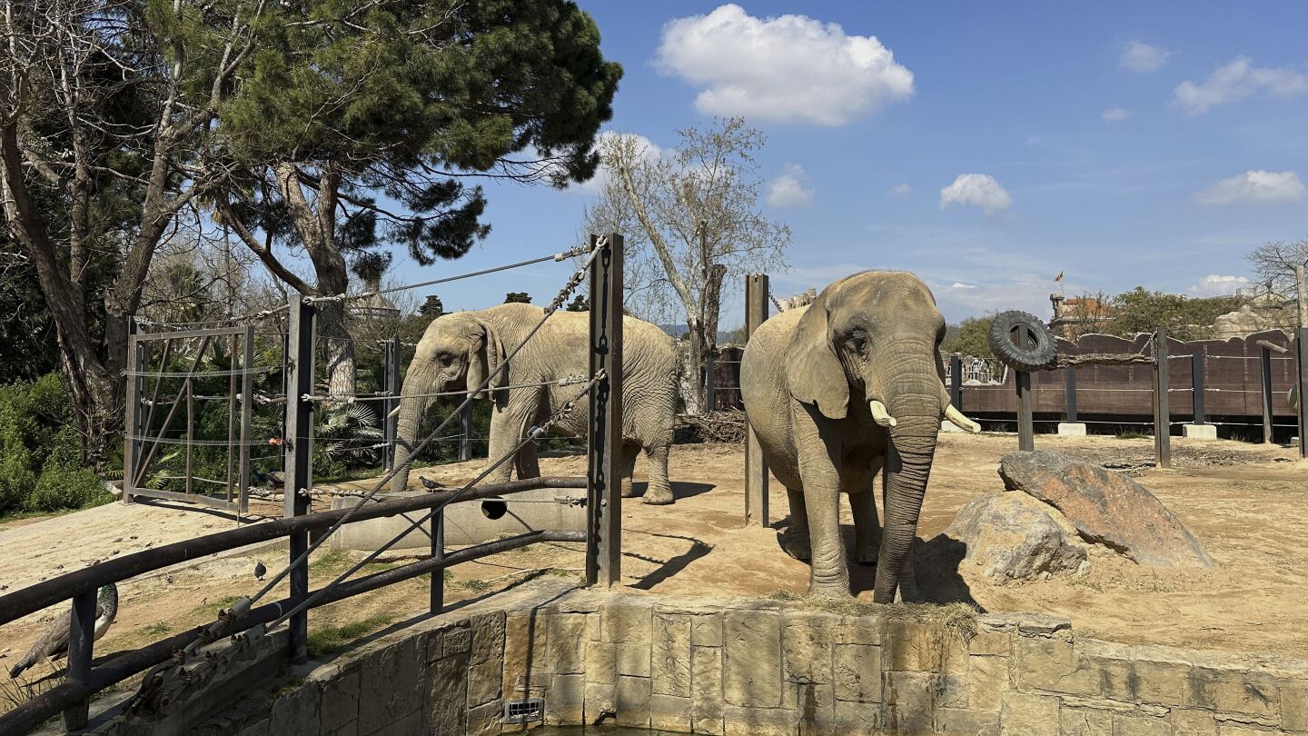 Aging animals find the extra care they need at Barcelona's zoo