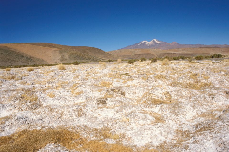 Uturuncu volcano in the background.