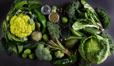Lack of key vitamin could be the cause of your memory blips - the 11 foods to add to your diet today
