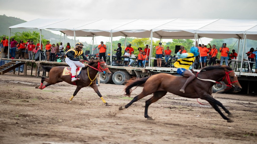 Horse race in Vieux Fort