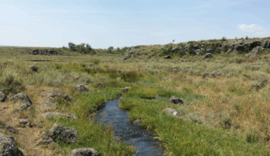 Thinking outside the caldera: Understanding basaltic eruptions at Yellowstone