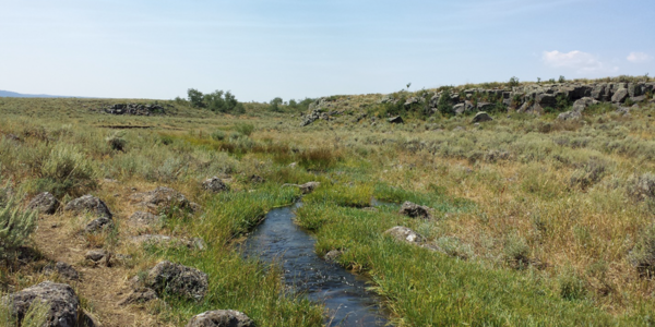 Thinking outside the caldera: Understanding basaltic eruptions at Yellowstone