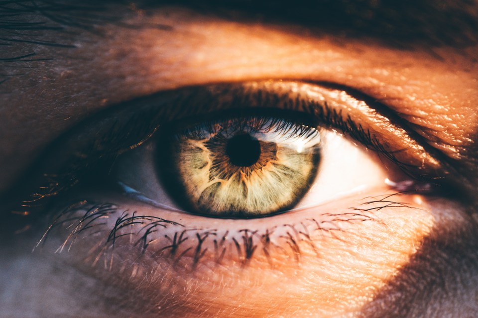 Close-up of a woman's green eye.