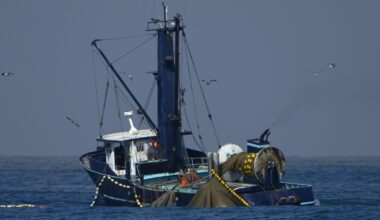 EU wins landmark post-Brexit fishing row with the UK