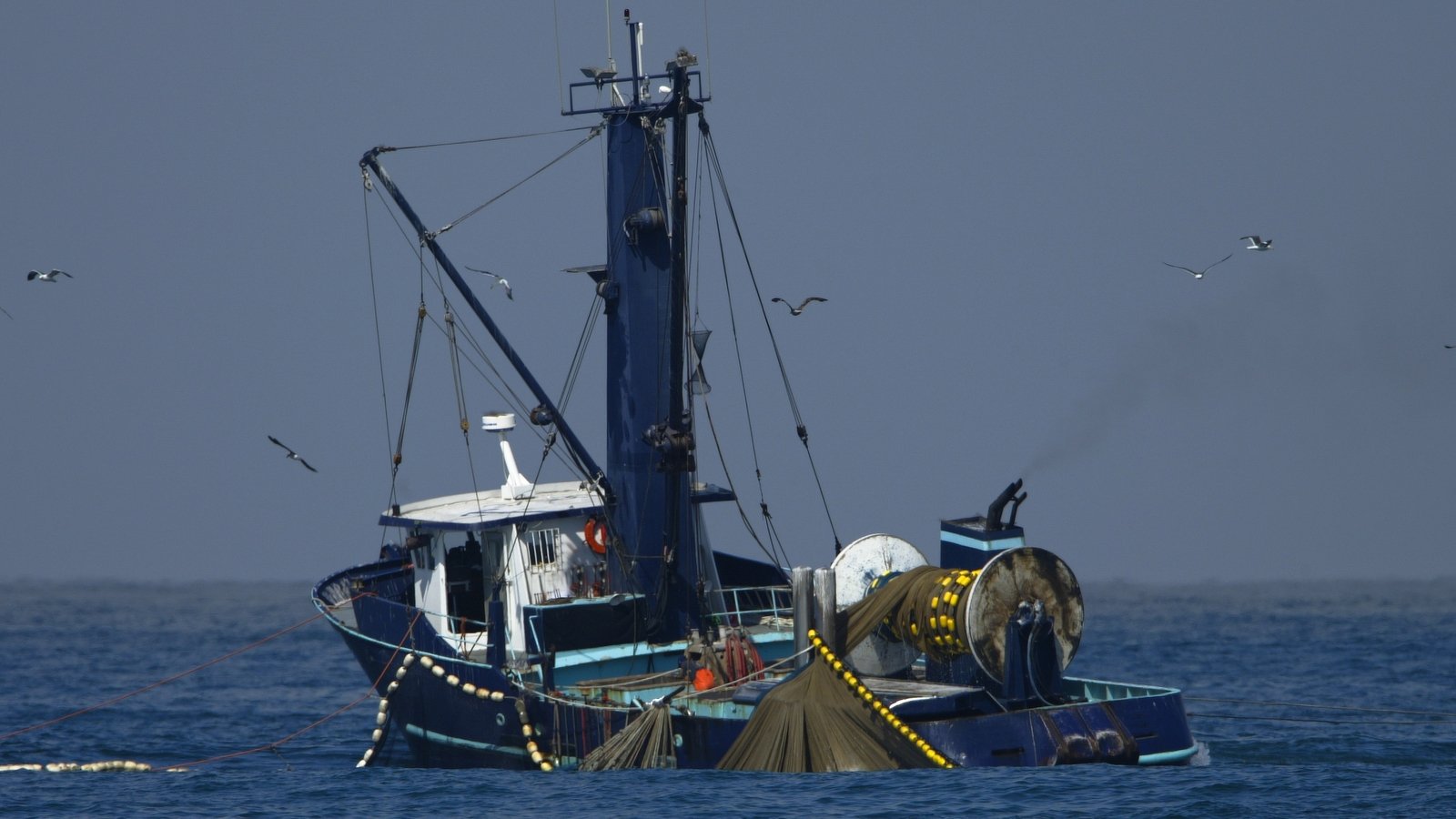 EU wins landmark post-Brexit fishing row with the UK