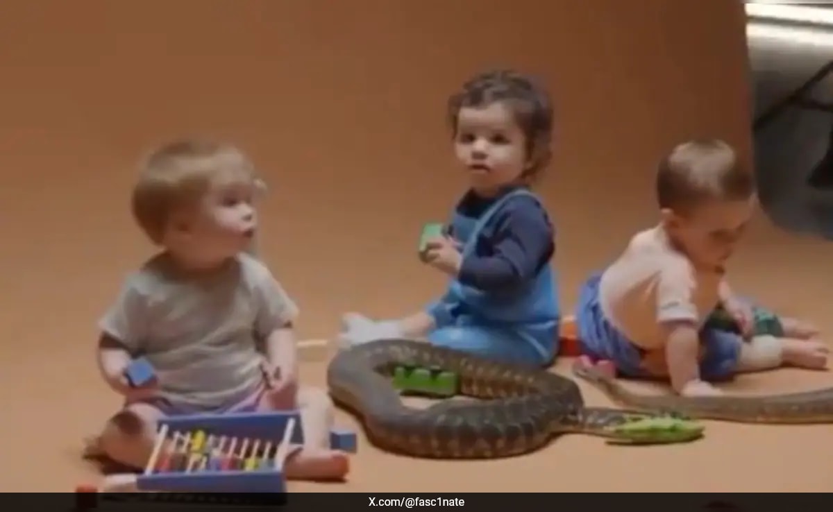 Babies Play With Snakes, What Scientists Discovered Will Surprise You