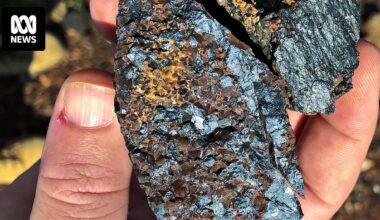 Australian miners see opportunities during US and China trade war chaos
