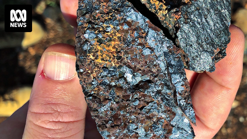 Australian miners see opportunities during US and China trade war chaos