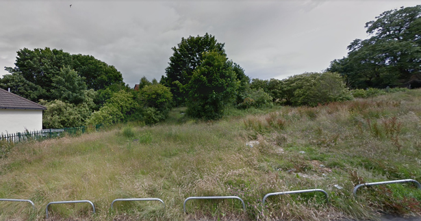 The top of Naylor Road