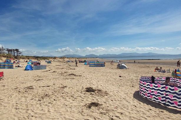 Sandy beach with a number of windbreakers