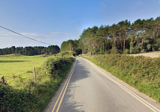 Narrow lane with countryside either side of the road 