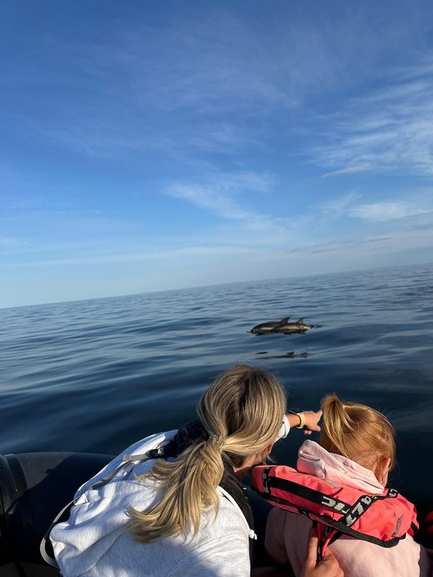 A mum and daughter looking at two dolphins in the sea