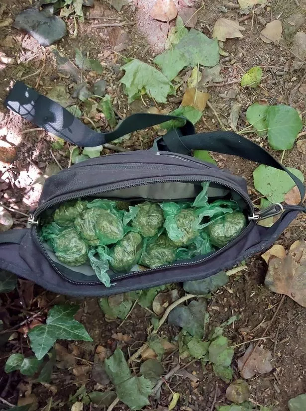 A black fabric bag with lots of green plastic bags containing balls of a grass-looking substance