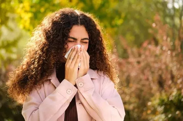 Hay fever