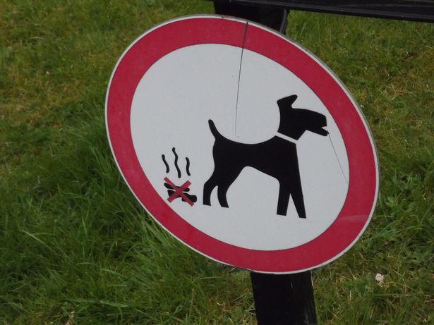 You can be fined up to £1,000 for failing to pick up your dog waste.