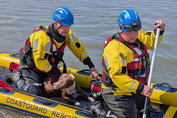 Wirral Coastguard Rescue Team were called to reports of a stranded dog near Leasowe Lighthouse in Moreton today, Monday, May 19