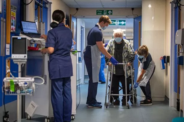 Rehab Support workers perform a physiotherapy treatment