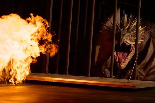 'Harry Potter and the Goblet of Fire' dragon, Hungarian Horntail