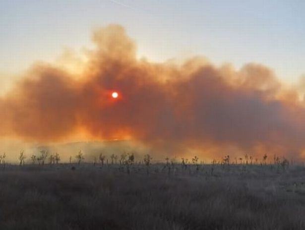 Smoke plumes could be seen for miles