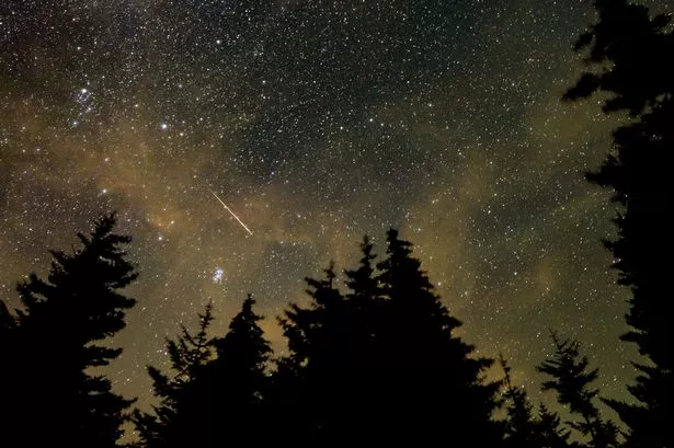 A meteor streaks across the sky during the annual Perseid meteor shower