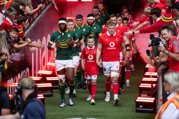 Jac Morgan of Wales and Siya Kolisi of South Africa